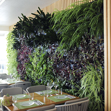 Parete vegetale stabilizzata - AG GUIMUR-ABBACO - AIR GARDEN - naturale / in fogliame / da interno