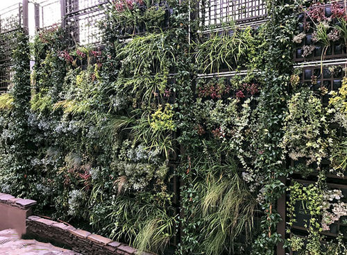 Parete vegetale stabilizzata - AG POSTDIV - AIR GARDEN - in pannelli modulari / naturale / in fogliame