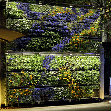 Parete vegetale stabilizzata - AG GUIMUR-REINA SOFIA - AIR GARDEN - floreale / da giardino