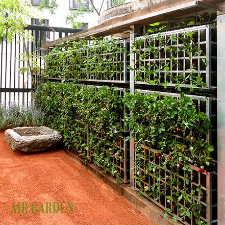 Graticolato per giardino verticale - AG3 POSTMUR-POSTDIV - AIR GARDEN - in metallo verniciato