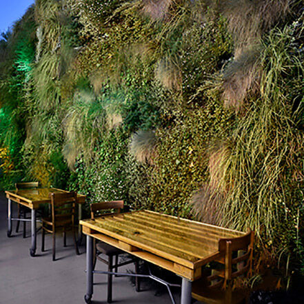 Parete vegetale di piante viventi - AG GUIMUR-CHILL OUT - AIR GARDEN - naturale / in fogliame / da esterno