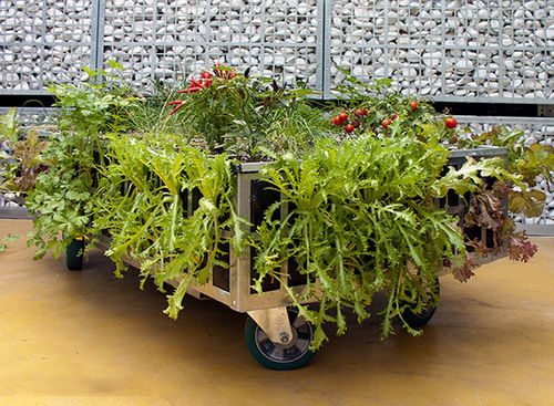 Fioriera in metallo - AG ECO HUERTOS - AIR GARDEN - rettangolare / con rotelle / contemporanea