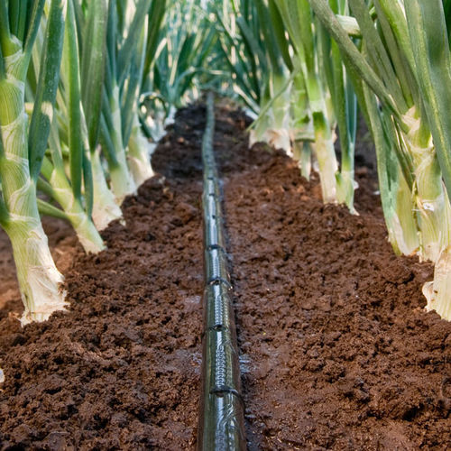 Tubo flessibile di irrigazione - RO-DRIP - Rivulis - in plastica / con ugello gocciolatore