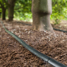 Tubo flessibile di irrigazione - D2000 DRIP LINE - Rivulis - in plastica / con ugello gocciolatore / piatto