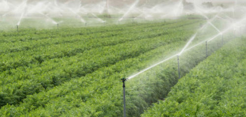 Irrigatore rotativo - S5000 & S6000 - Rivulis