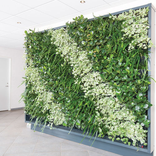 Parete vegetale stabilizzata - Natural Greenwalls - di piante viventi / naturale / da interno