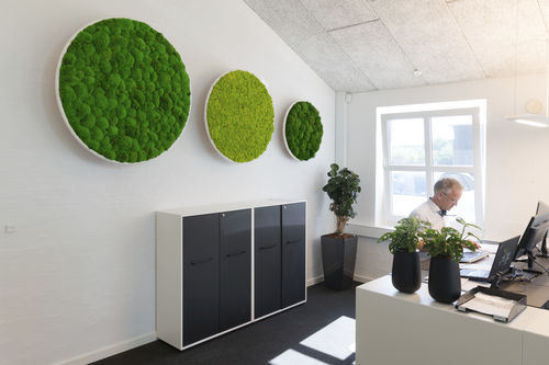 Quadro vegetale stabilizzato - Natural Greenwalls - in muschio / da interno / in pannelli modulari