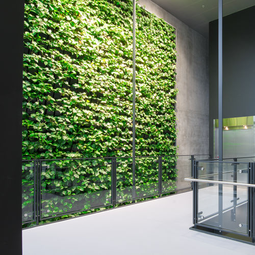 Parete vegetale stabilizzata - UNIVERSITY - Natural Greenwalls - di piante viventi / in fogliame / da interno