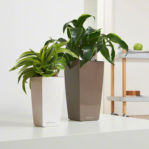Fioriera in plastica - MAXI-CUBI - Gover Horticulture LLC - trapezoidale / contemporanea / contract