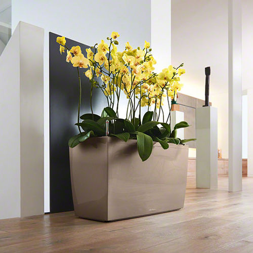 Fioriera in plastica - CARARO - Gover Horticulture LLC - rettangolare / contemporanea / contract