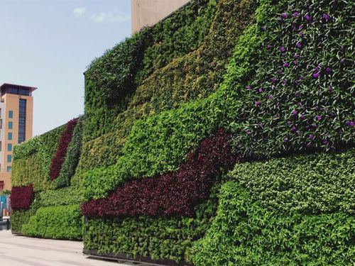 Parete vegetale di piante viventi - Gover Horticulture LLC - su misura / da interno / da esterno