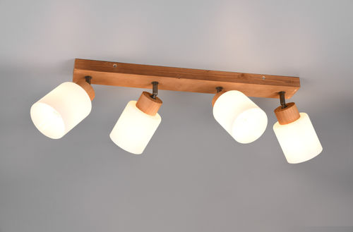 Plafoniera contemporanea -  ASSAM - TRIO Leuchten GmbH - rotonda / rettangolare / in vetro