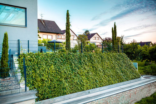 Stabilizzatore di terre - SOIL STABILIZATION - hedera screens