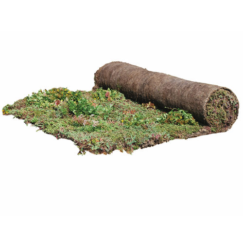 Tetto verde per tetto piano - SEDUM-MIX BLANKET - Urbanscape - in rotoli / drenante / per gestione delle acque pluviali