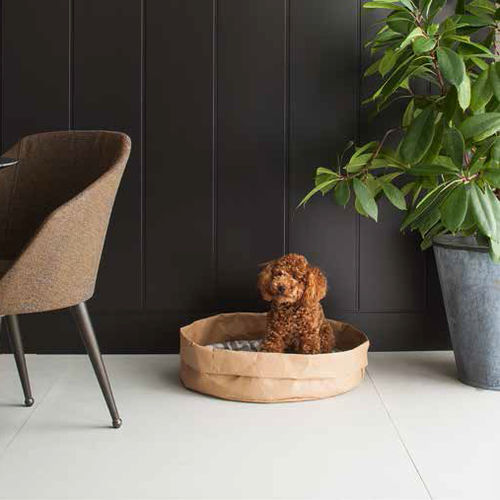Cesta per cane in fibra di cellulosa - TOMMY - Limac Design® - con cuscino rimovibile / lavabile in lavatrice