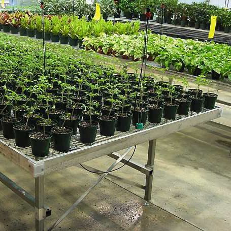 Bancale per serra - Ludy Greenhouse Manufacturing Corporation
