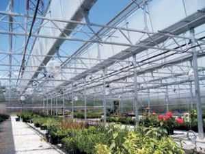 Traliccio in acciaio - EZ-UP DIRECT - Ludy Greenhouse Manufacturing Corporation - quadrato / per eventi