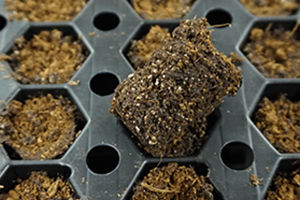 Substrato colturale fibra di cocco - AERO NT PLUG - Grow-Tech LLC - perlite / sfuso / assorbente