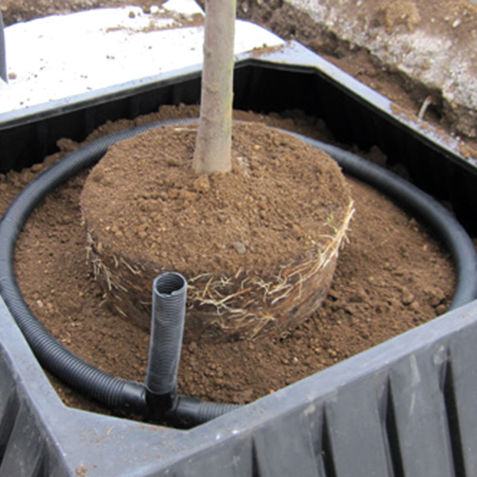 Guaina di contenimento antiradice per spazio pubblico - ROOTDIRECTOR - GreenBlue Urban Ltd - rigida