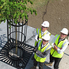 Griglia di protezione per alberi in metallo - ULLSWATER - GreenBlue Urban Ltd