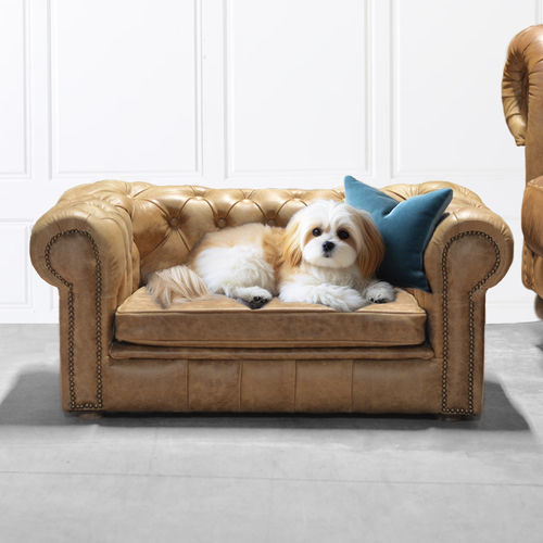 Divano per cani in pelle - Harleq - bianco / blu / dorato