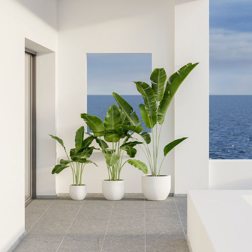 Portavaso in polipropilene - AZALEA - NEWGARDEN