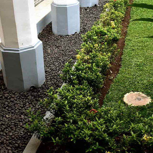 Ciottolo per terrazza - LOOSE - PT. Golden Stone Indonesia - per esterni / per pavimento