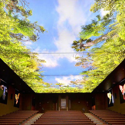 Soffitto teso in pannelli - ICON INTERIORS AND EXTERIORS - a colori / decorativo / luminoso