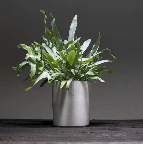 Vaso da giardino in calcestruzzo - SPICEPOT - urbanature - rotondo / per uso residenziale / per spazio pubblico