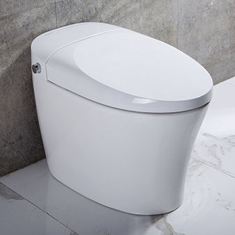WC Washlet® - TA-822ZA - Zhejiang Tejieer intelligent sanitary ware co.ltd - da appoggio / in ceramica / contract