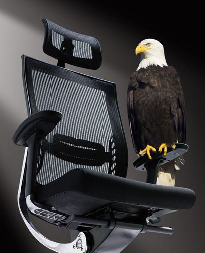 Poltrona da ufficio contemporanea - ABANT - Flekssit Office Furniture - in alluminio / ergonomica / regolabile