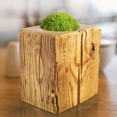 Vaso contemporaneo - TOUCH ME Moss HEDGEHOG - MOOS MOOS MANUFAKTUR - in legno / fatto a mano