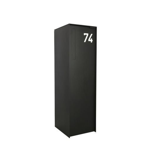 Cassetta delle lettere con cassetta portapacchi - FENIX TOP LARGE - eSafe - autoportante / individuale