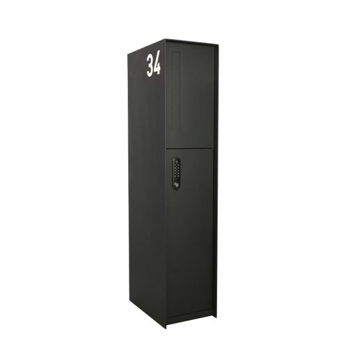Cassetta postale portapacchi autoportante - FENIX FRONT - eSafe - individuale / con codice