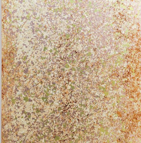 Pannello decorativo di rivestimento - Spring Granite - Duco - da parete / per interni / acrilico