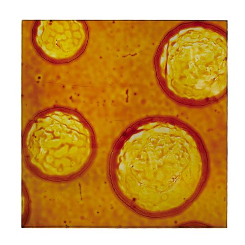 Pannello decorativo acrilico - RIPPLE BROWN - Duco - per interni / da parete / per porta