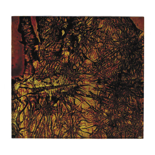 Pannello decorativo acrilico - SPLIT LARGE - Duco - per interni / da parete / per porta