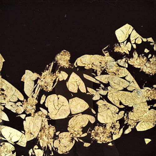 Pannello decorativo acrilico - FLOATING PETALS - Duco - per porta / da parete / per interni