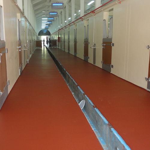 Intonaco di lisciatura - POLYSPORT 1053 - KDF - Sports Flooring Production - di impermeabilizzazione / di finitura / per impianti sportivi