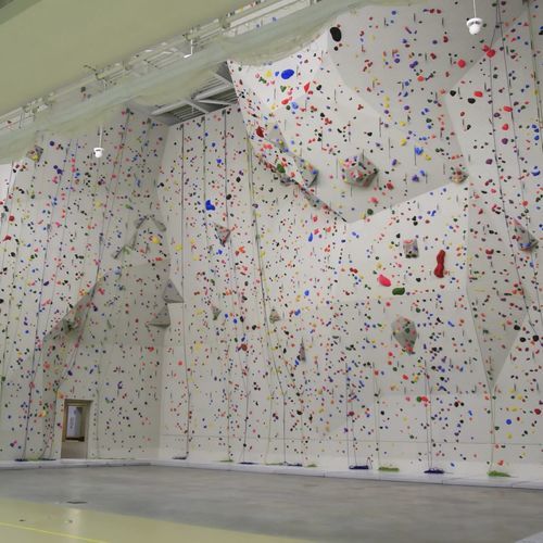 Parete d'arrampicata fissa - JEAN GACHET - ESCATECH - per edifici pubblici / da interno