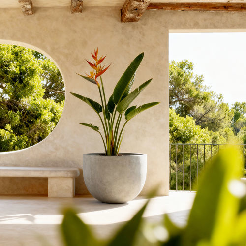 Fioriera per orto in PRFV - POTHOS - Bonasila - plastica fibrorinforzata (FRP) / in fibra di vetro / da esterno