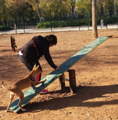 Percorso a ostacoli per lo sviluppo dell'agilità - DUAGCP-02 - DEPORTES URBANOS - dondolo