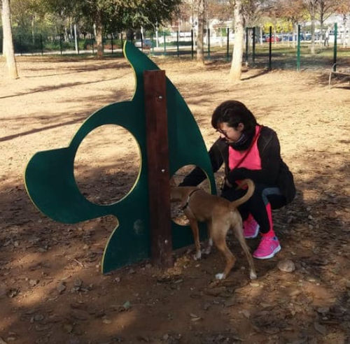 Percorso a ostacoli per lo sviluppo dell'agilità - DUAGCP-01 - DEPORTES URBANOS - per parco per cani / a ruota / su misura