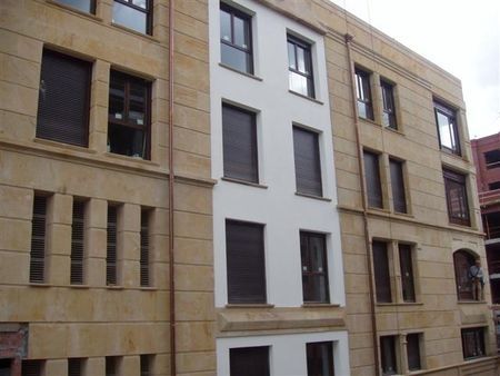 Rivestimento di facciata in pannelli - ARENISCA REINA® - ARENISCAS STONE - in pietra naturale / in gres / testurizzato