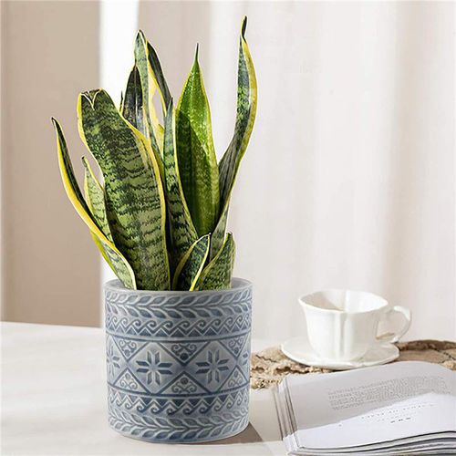 Vaso da giardino in ceramica smaltata - AN0064 - Guangzhou Ancooly Gardening LTD - rotondo / per uso residenziale / per hotel