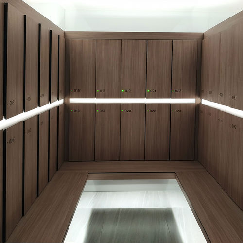 Contenitore a scomparti in HPL - DEBO F12 Smart Locker - DEBO - a chiave / contract / per edifici pubblici