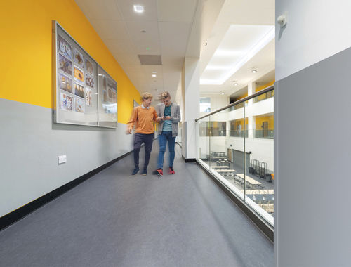 Protezione murale in TPE - ACROVYN PVC-FREE - CS Construction Specialties - decorativa / in fogli