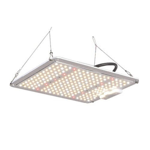 Proiettore IP65 - LGLBO - kindom opto-electronic co.,ltd - LED / professionale / da interno