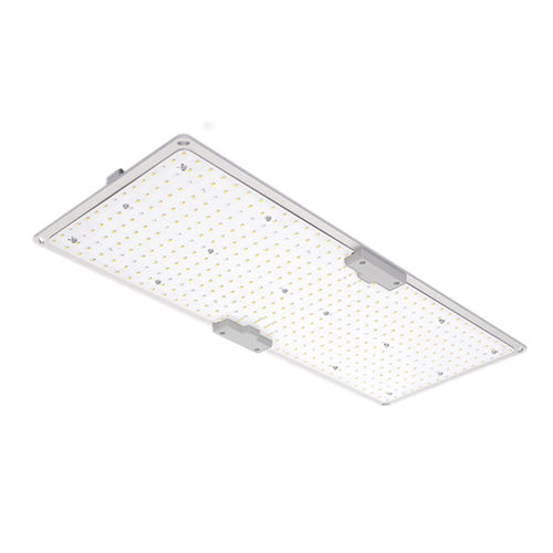 Proiettore IP65 - LGLBO - kindom opto-electronic co.,ltd - LED / professionale / da interno