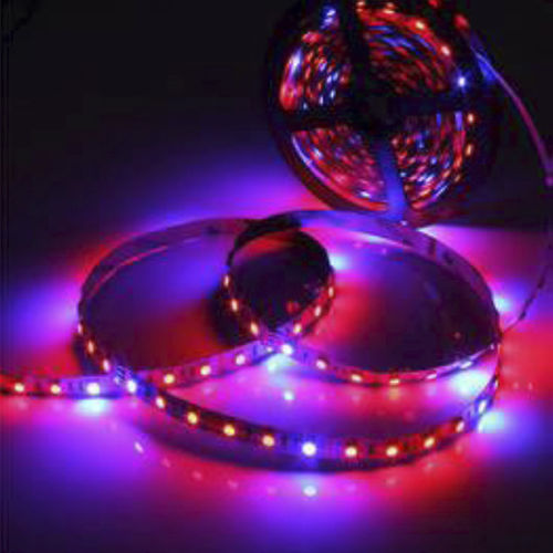 Striscia flessibile a LED - KD-LGL - kindom opto-electronic co.,ltd